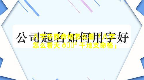 八字辛酉命格怎么看「八字怎么看天 🌲 干地支命格」
